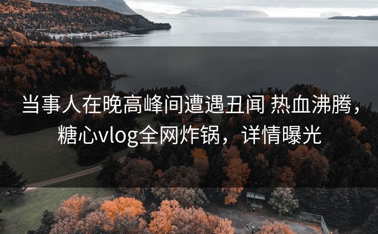当事人在晚高峰间遭遇丑闻 热血沸腾，糖心vlog全网炸锅，详情曝光