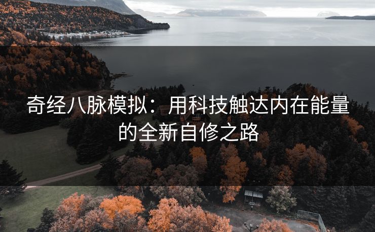 奇经八脉模拟:用科技触达内在能量的全新自修之路 奇经八脉模拟:用科技触达内在能量的全新自修之路