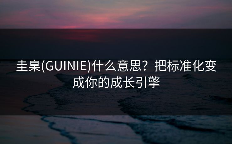圭臬(GUINIE)什么意思?把标准化变成你的成长引擎 圭臬(GUINIE)什么意思?把标准化变成你的成长引擎