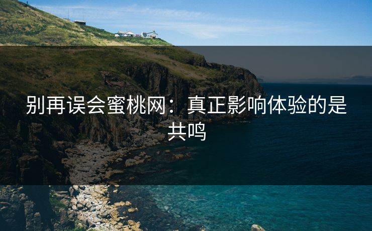 别再误会蜜桃网:真正影响体验的是共鸣 别再误会蜜桃网:真正影响体验的是共鸣